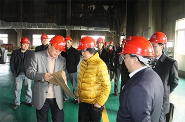 2012年1月31日，时任黄冈市委书记鲁俊携带市发改委等市级部门掌管人到公司调研