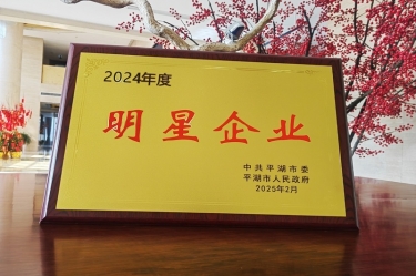 新春新景新形象 | 888集团电子游戏纸业在平湖三干大会上喜摘荣誉！