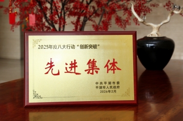 策马扬鞭启新程！888集团电子游戏纸业在平湖市三级干部大会上荣获“创新突破”双项荣誉